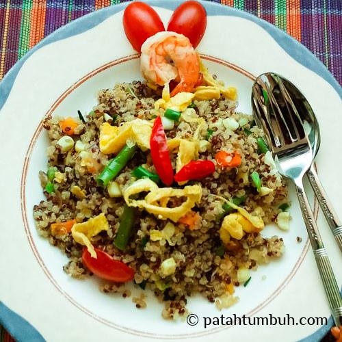 Quinoa Patah Tumbuh