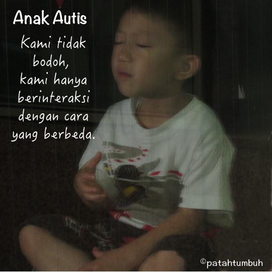 Anak Autis