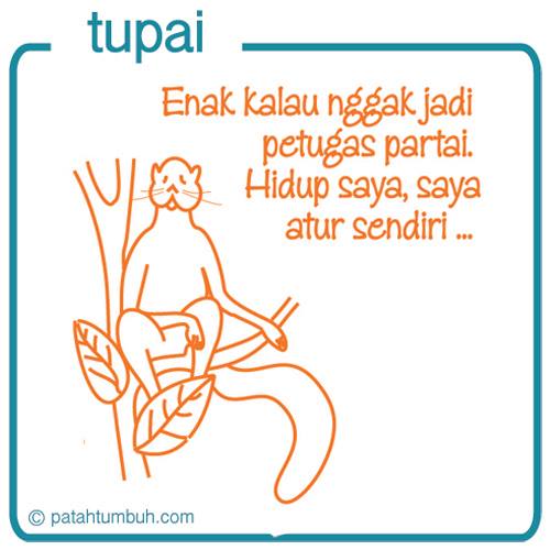 Tupai