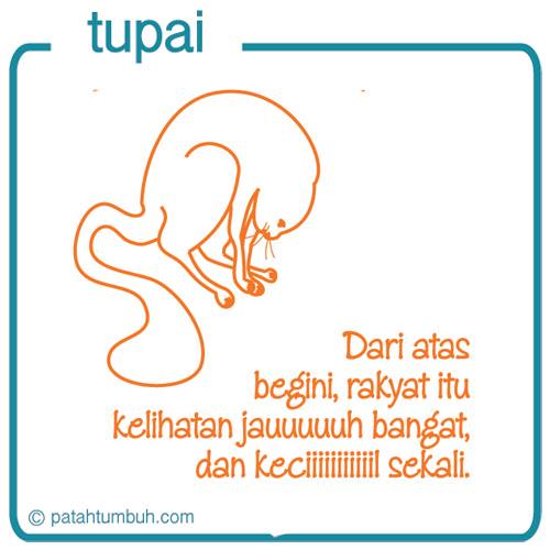 Tupai