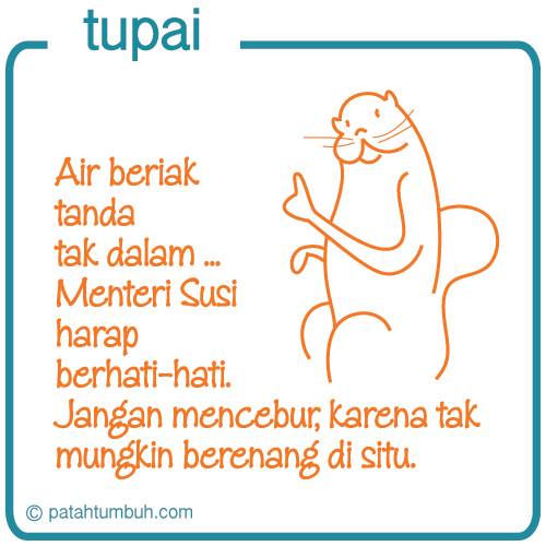 Tupai