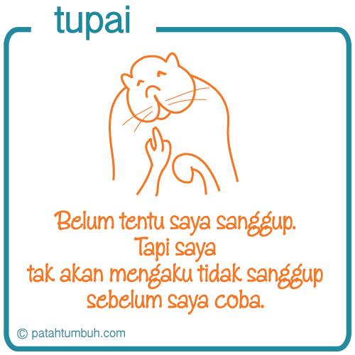 Tupai