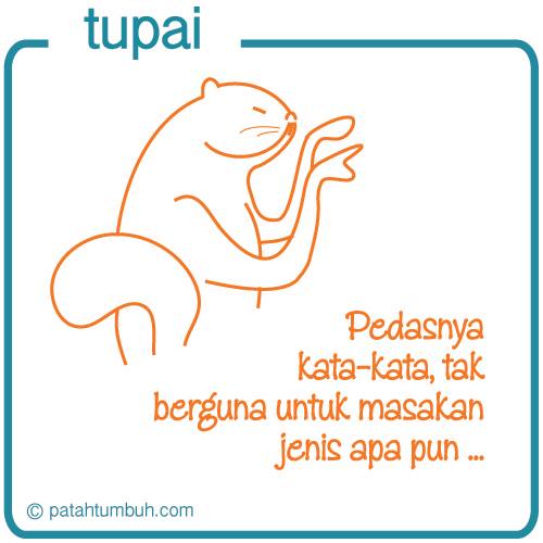 Tupai