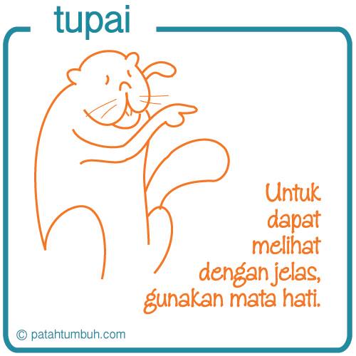 Tupai