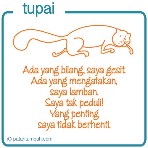 Tupai