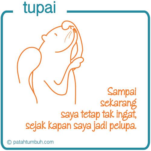 Tupai