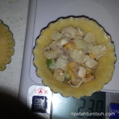 Chicken Pie