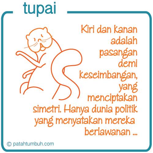 Tupai