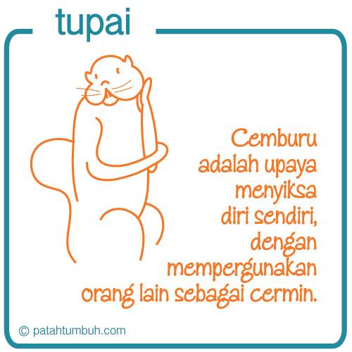 Tupai