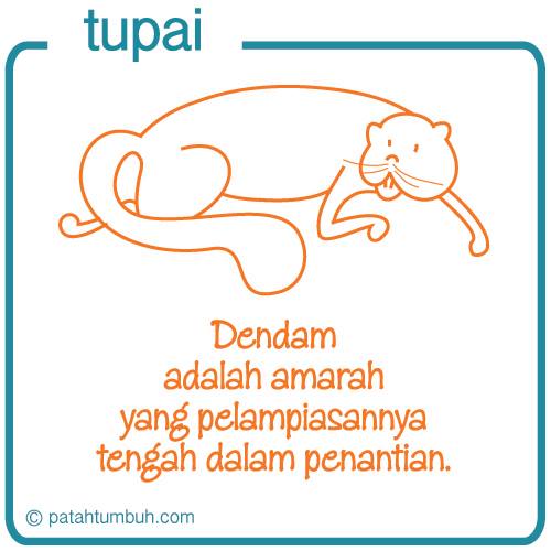 Tupai