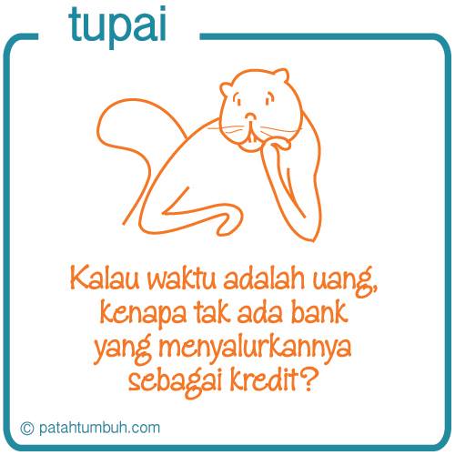 Tupai