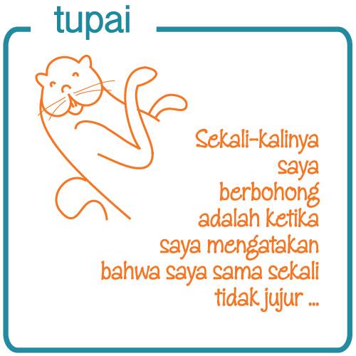 Tupai