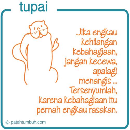 Tupai