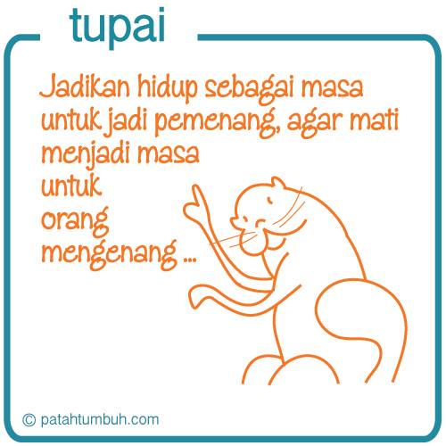 Tupai