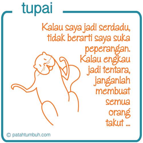 Tupai