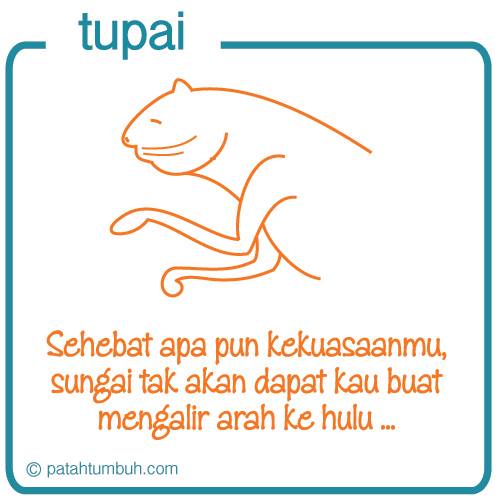 Tupai