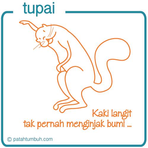 Tupai