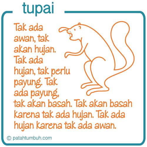 Tupai