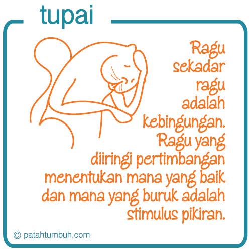 Tupai