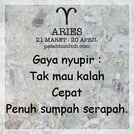 Aries6