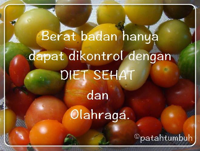 Diet sehat