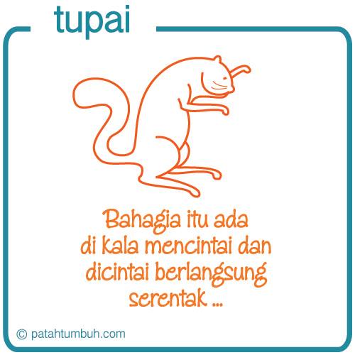 Tupai 116