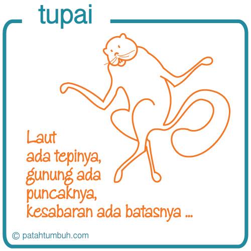 Tupai 106