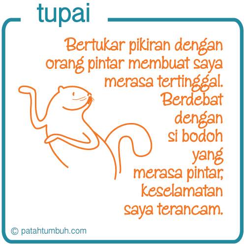 Tupai 34