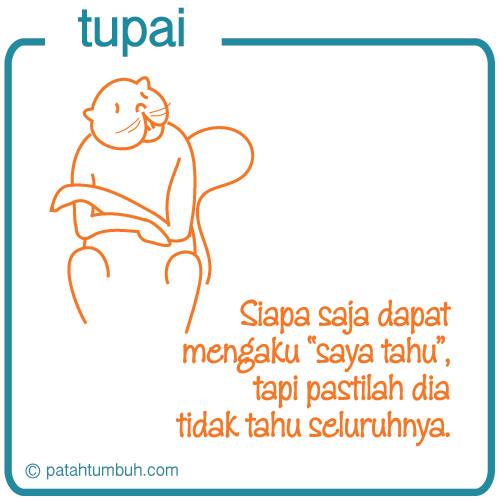 Tupai 91