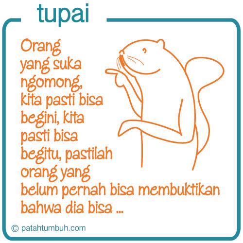 Tupai 24