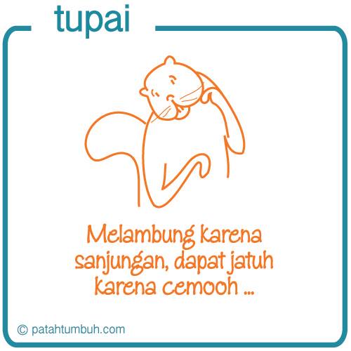 Tupai 59