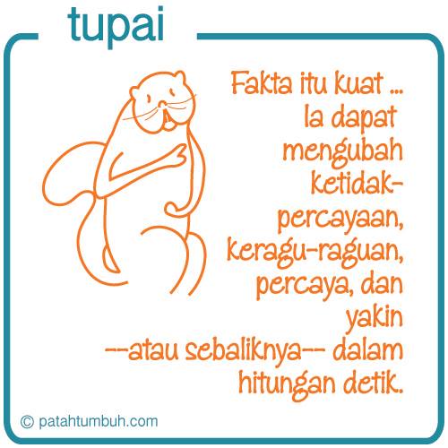 Tupai 120