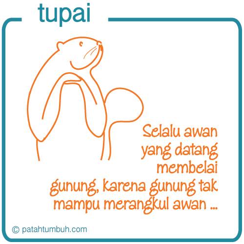 Tupai 84