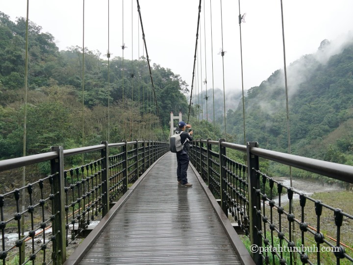 Duowang Suspension Bridge