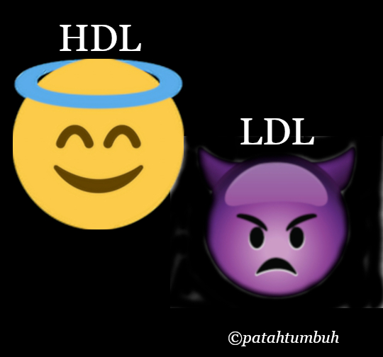 HDL