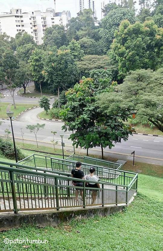 Henderson Waves