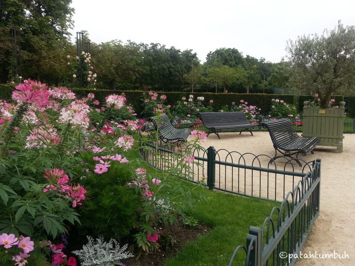 jardin du luxembourg