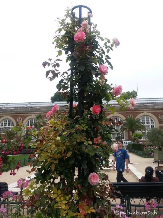 jardin du luxembourg