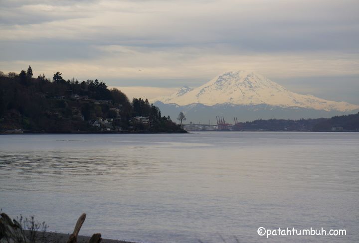 Mount Rainier