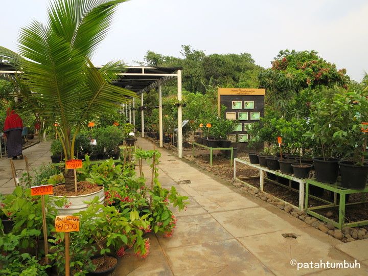 Plant Nursery