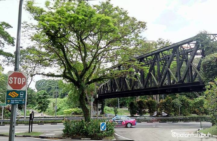 Bukit Timah Railway