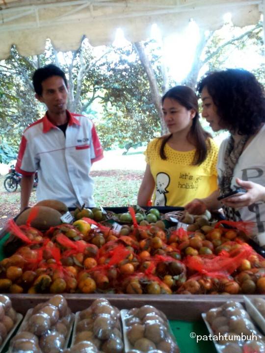 Fruit Stall