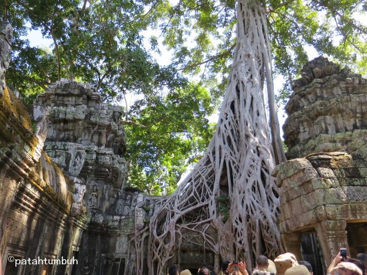 Ta Prohm 2