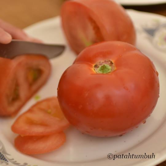 Tomato