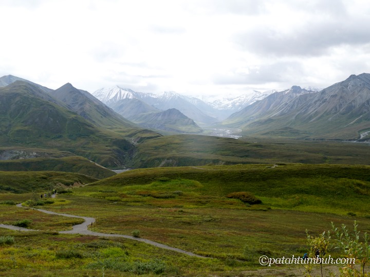 Denali Tundra