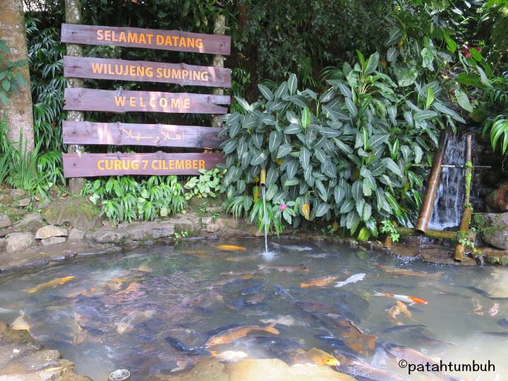 Curug Welcome Pond