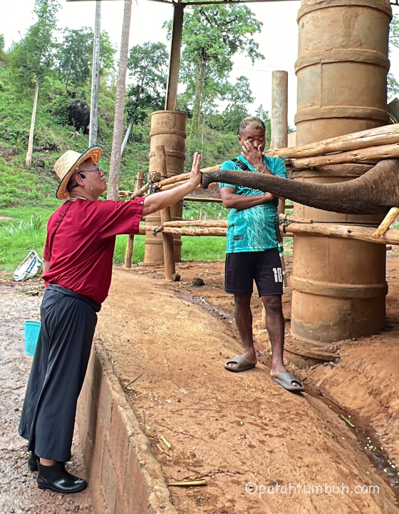 Ran Tong Elephant Rescue