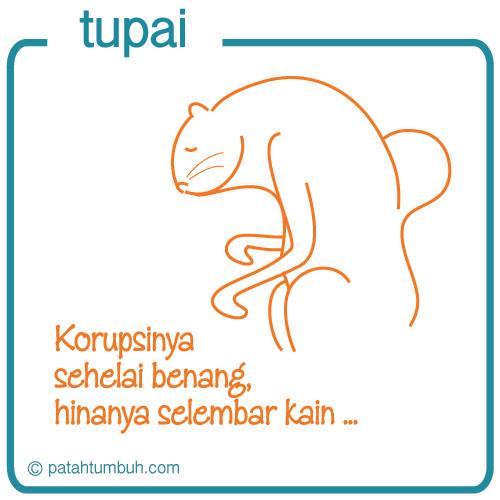 Tupai 67