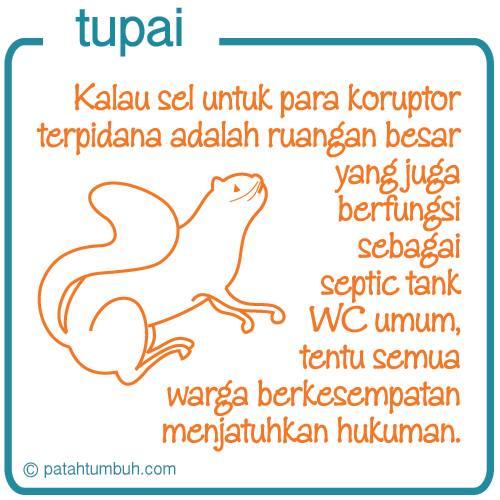 Tupai 35