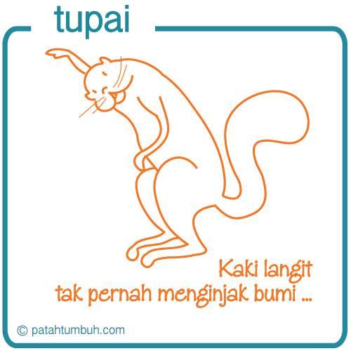 Tupai Pasti Pernah Menginjak Bumi